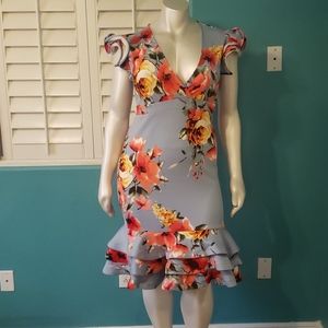 Blue Dress with Floral Print Size 3X